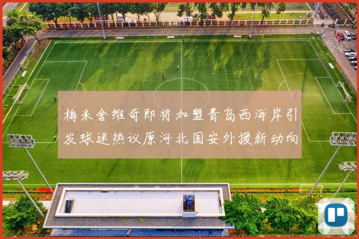 梅米舍维奇即将加盟青岛西海岸引发球迷热议原河北国安外援新动向